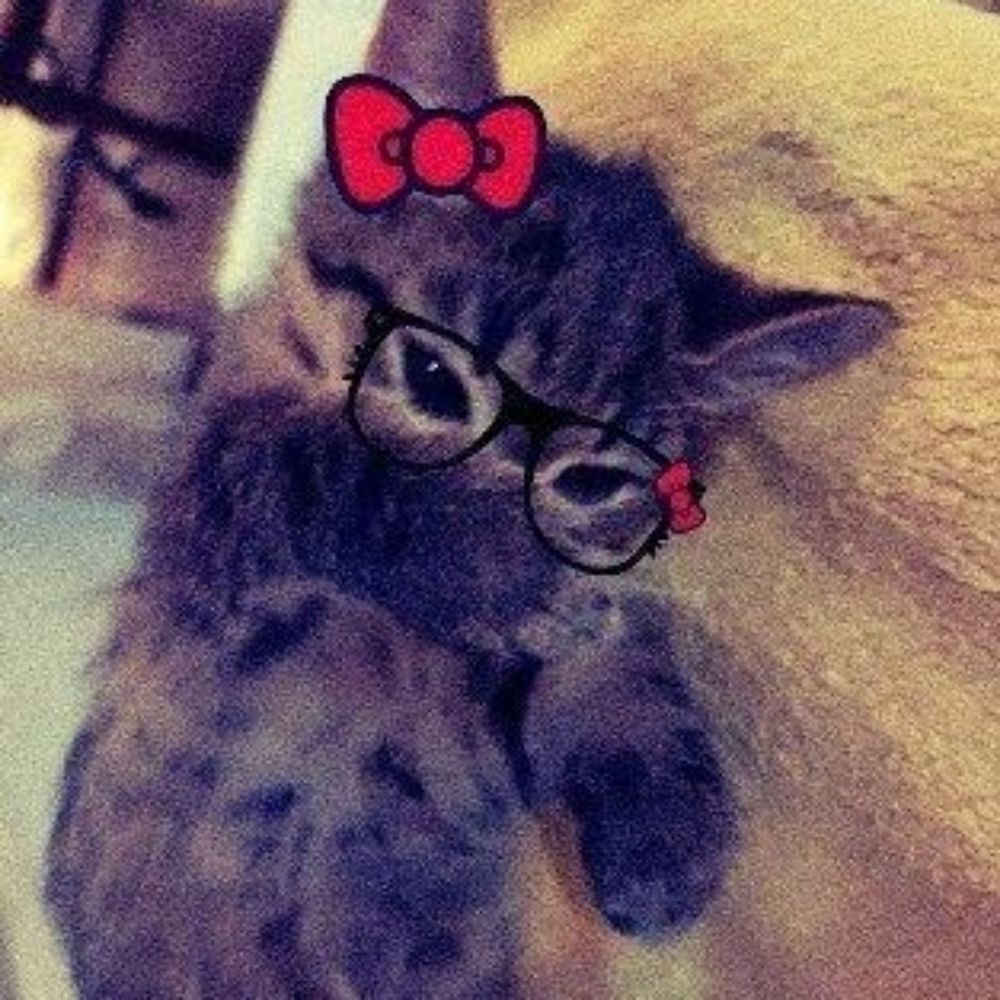❁ཻུ۪۪♡ ͎. ｡˚ 
