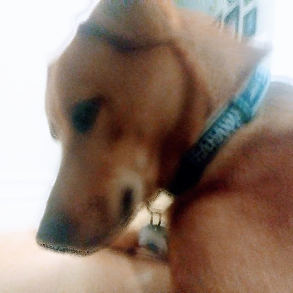 hugojake