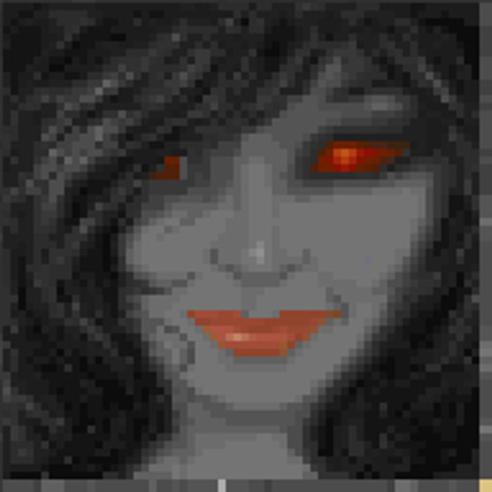Profile avatar