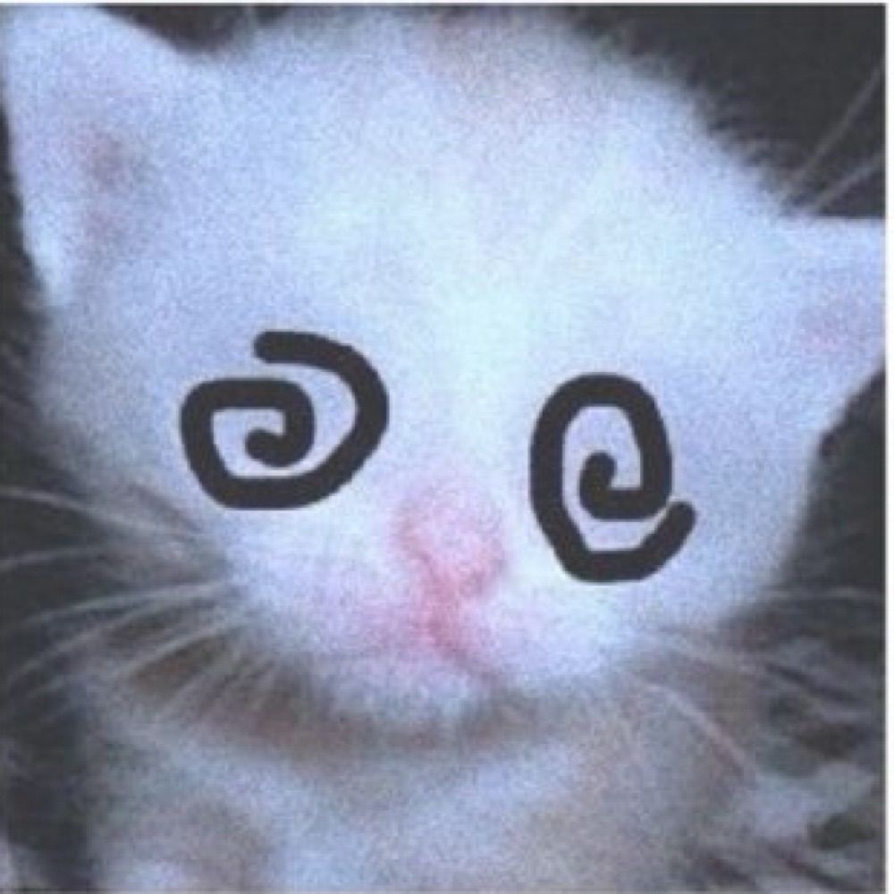Y|_|l