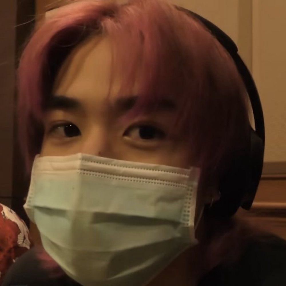 หมีเบ้บ