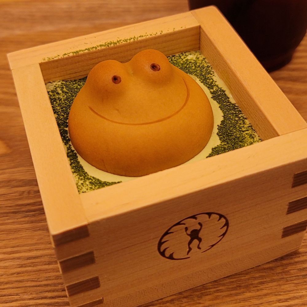 雛⑨( ˙꒳​˙  )