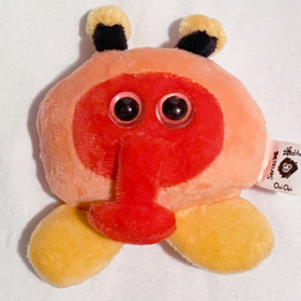 flippin egg