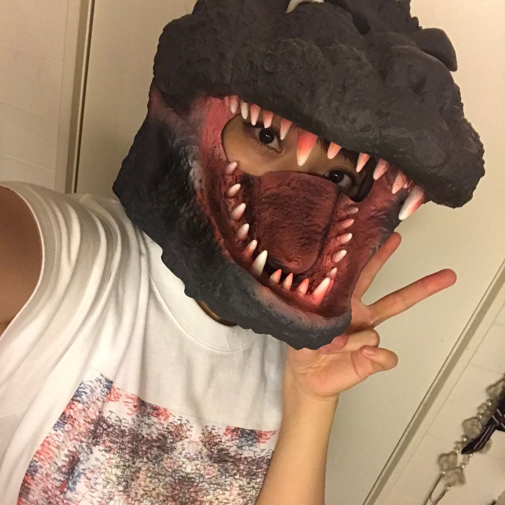 知恵のあるメスゴリラ