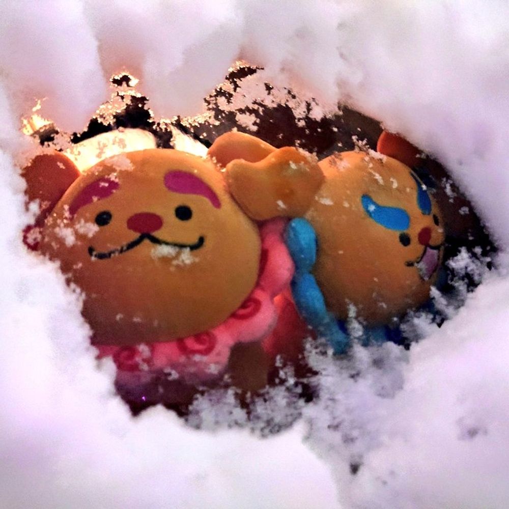 めぇこ