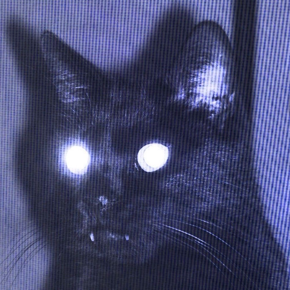 Midnight