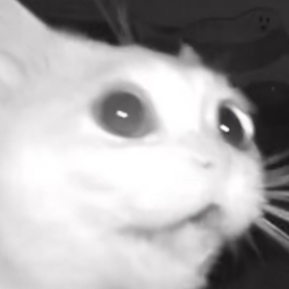 ✦Kol 🌙✦