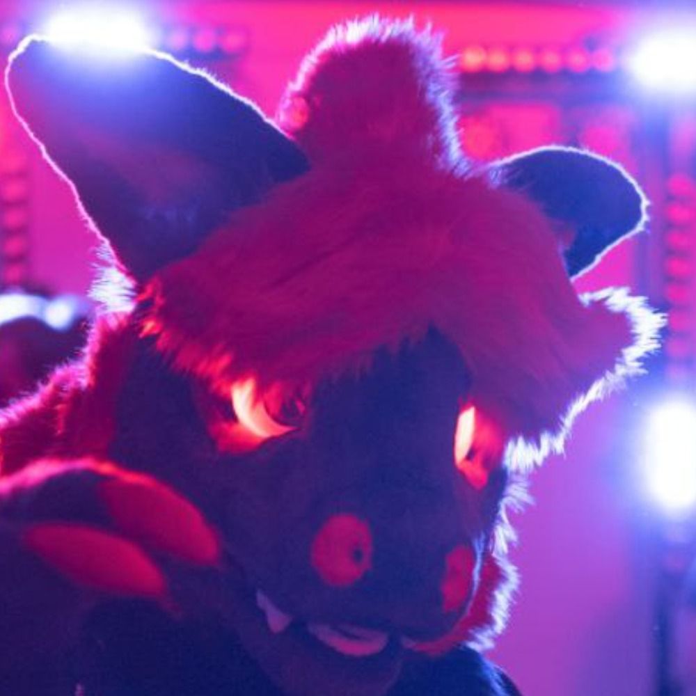 Lakota the Zoroark