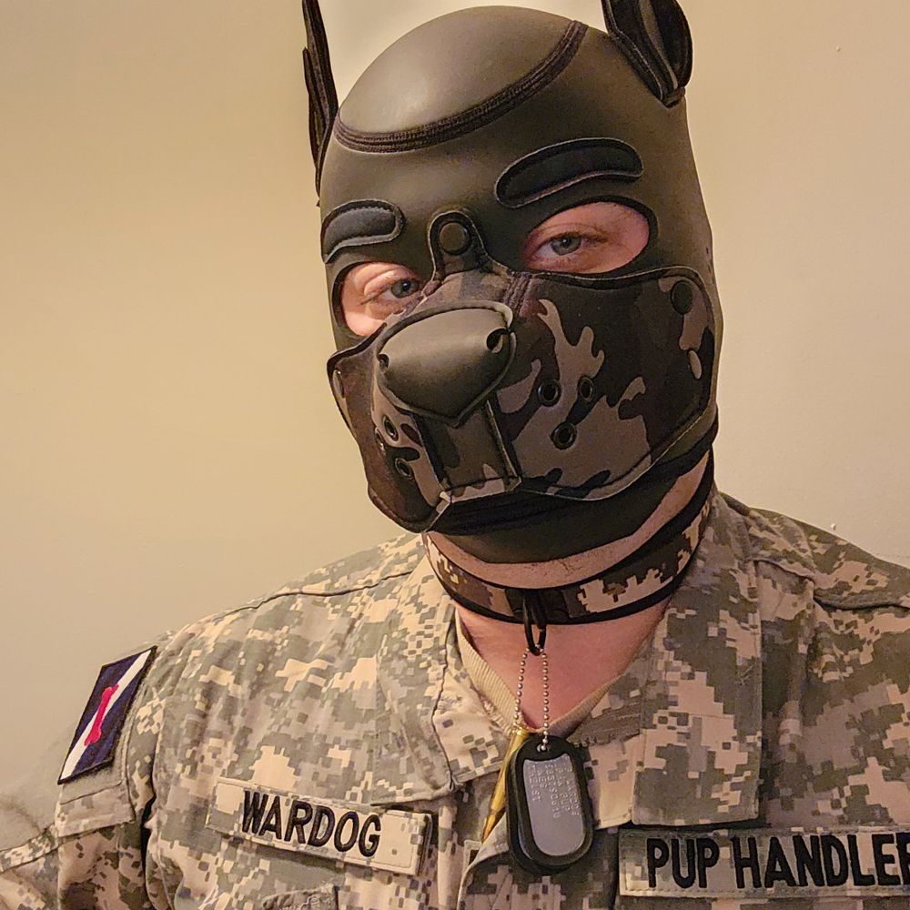 Pup WarDog