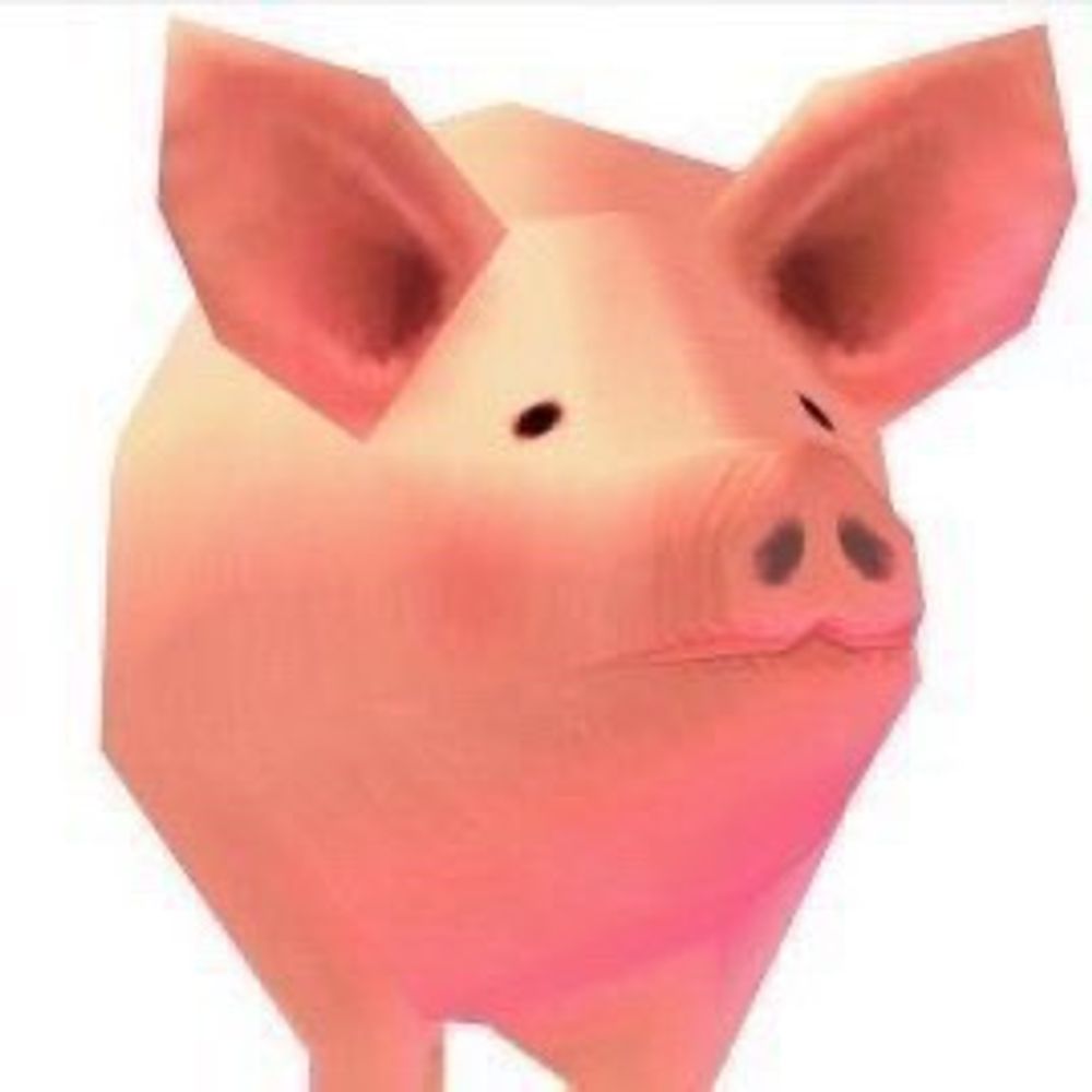 돼지우동