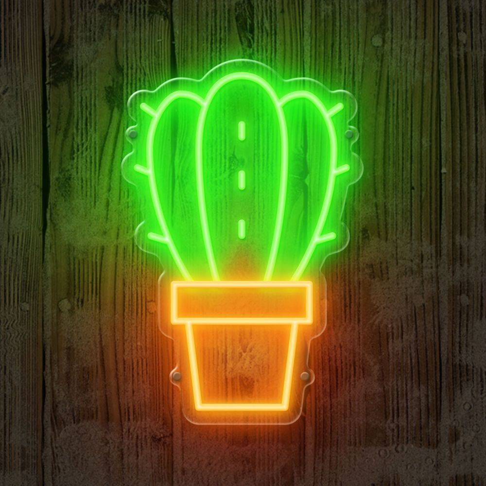 gruenerkaktus.bsky.social profile picture