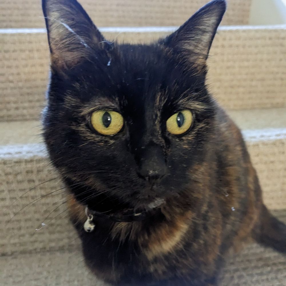 Tiberius (aka Mike)