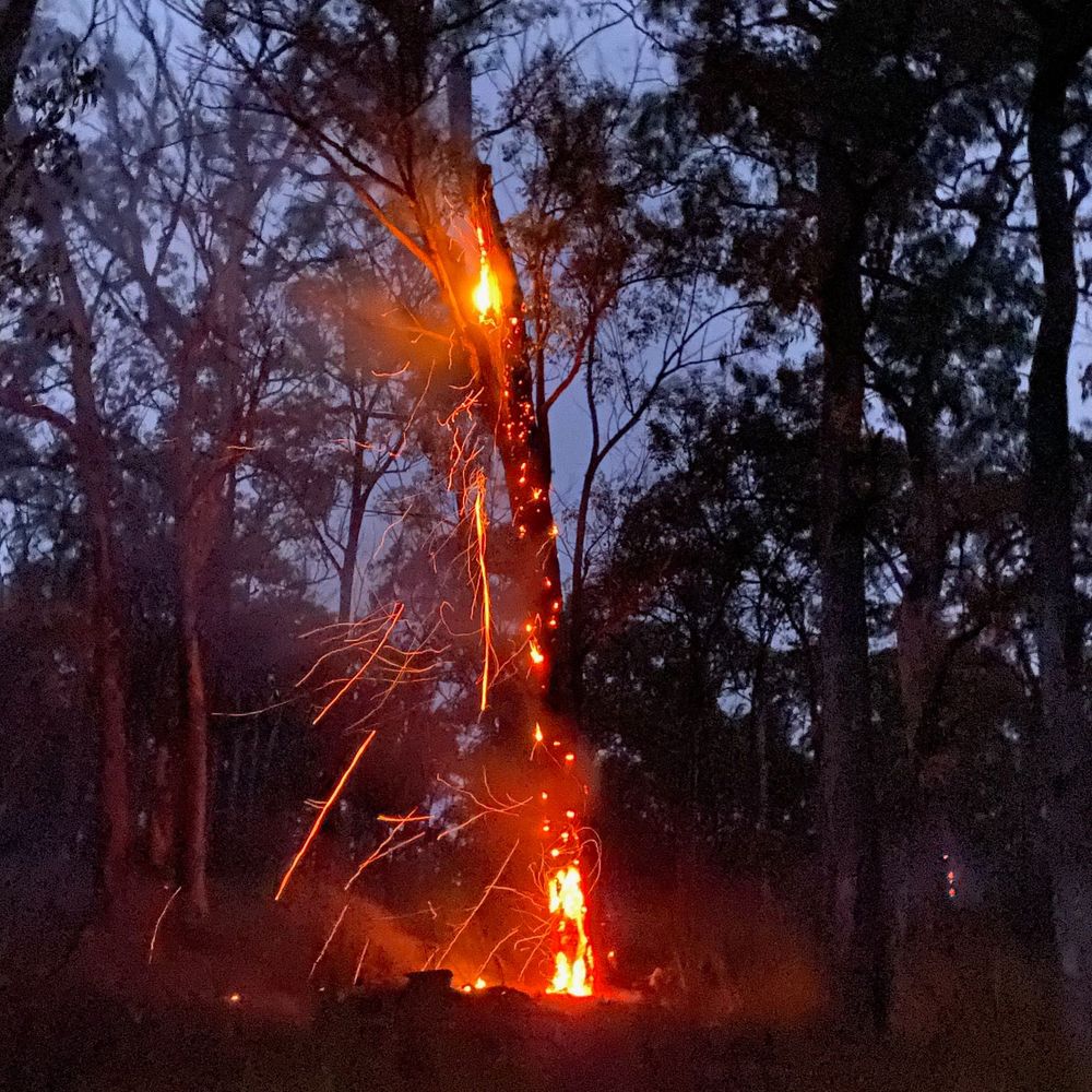 Gippsland Environment Group