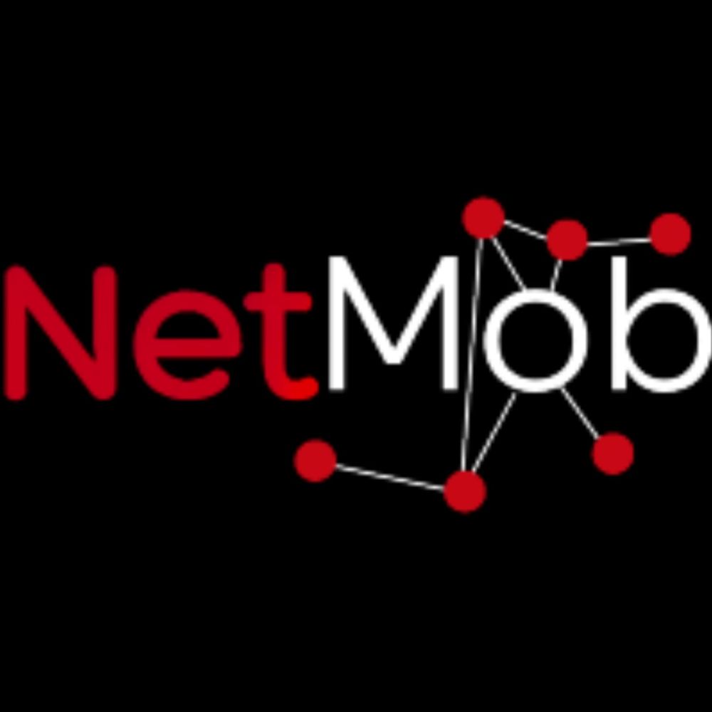 NetMob 2025
