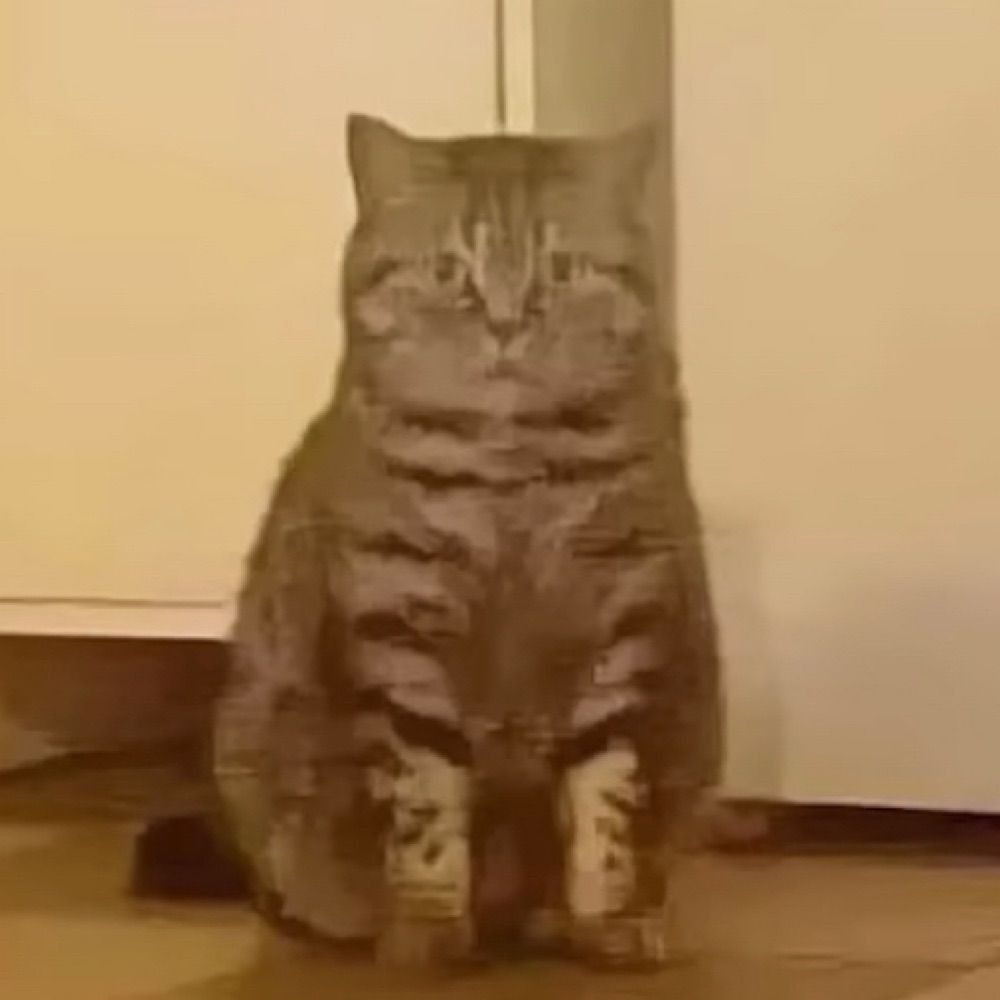 invalidfiles_