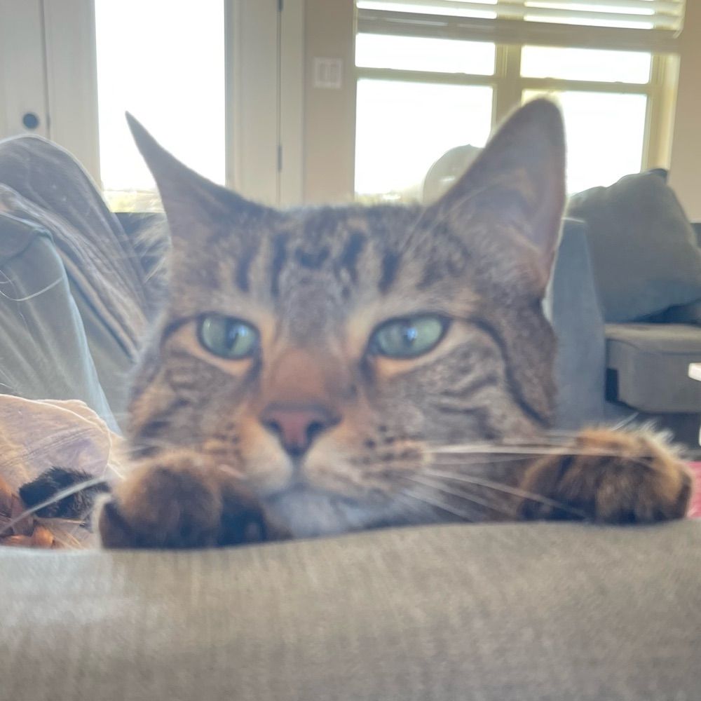 Mateo