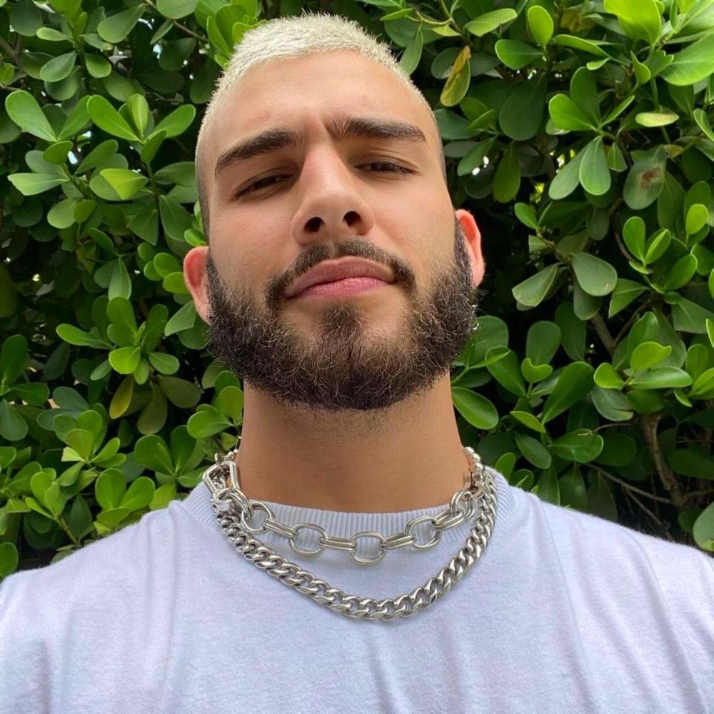 🐢