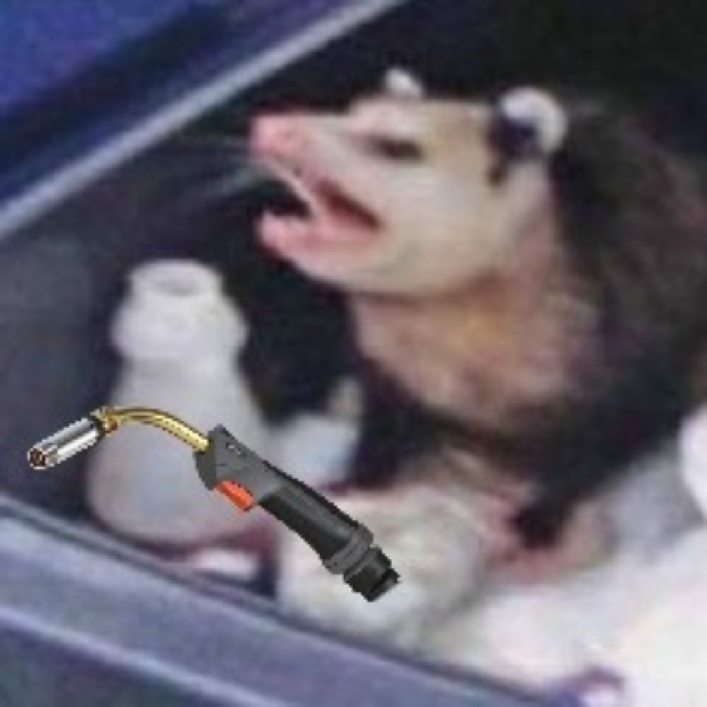 Arc the Poss