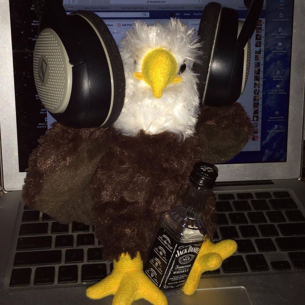 Super Freedom Rock Eagle's avatar