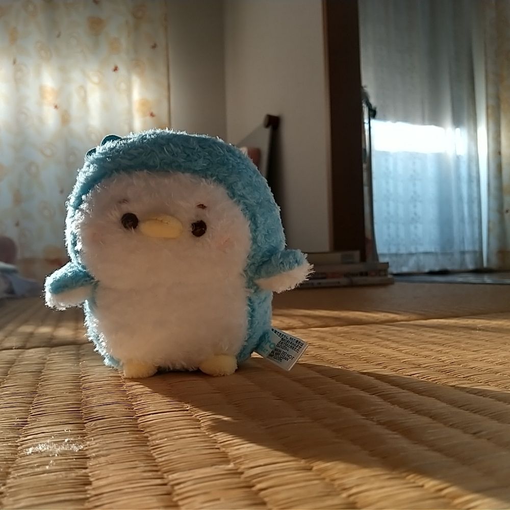 ぽよ