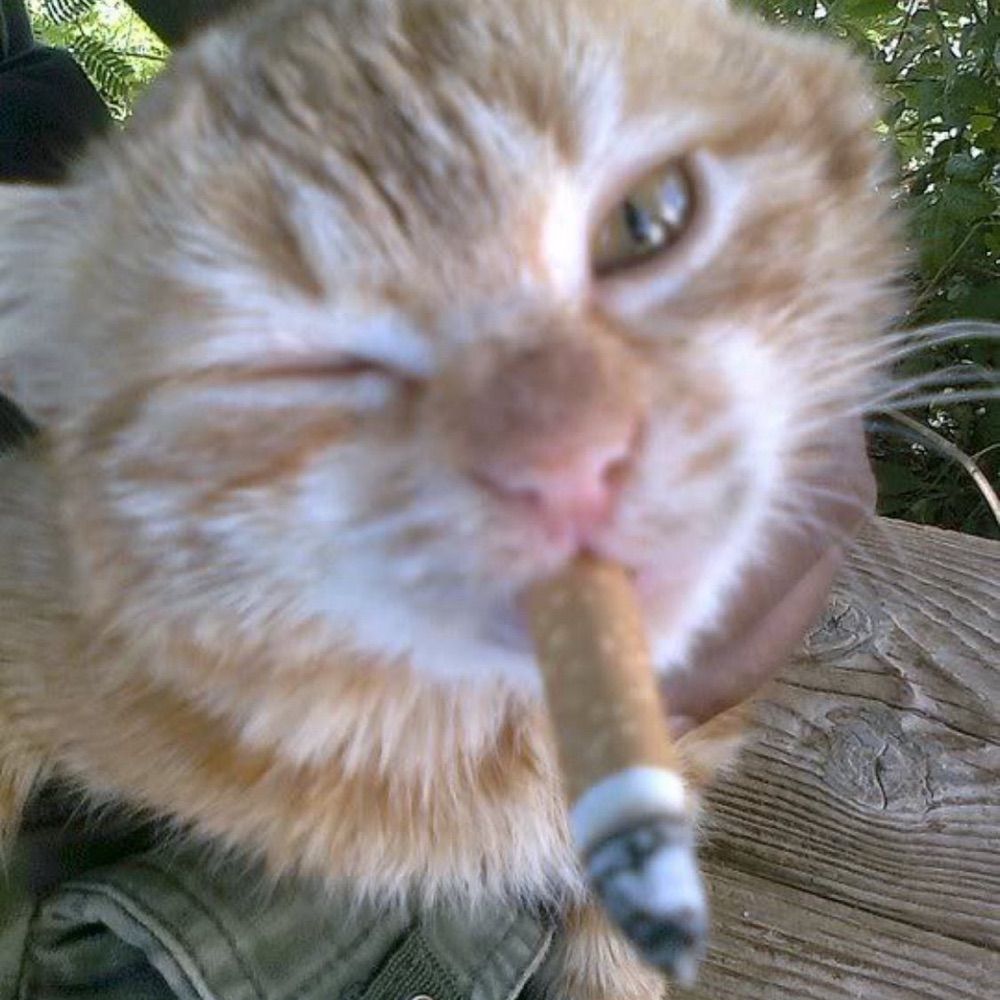 Sam