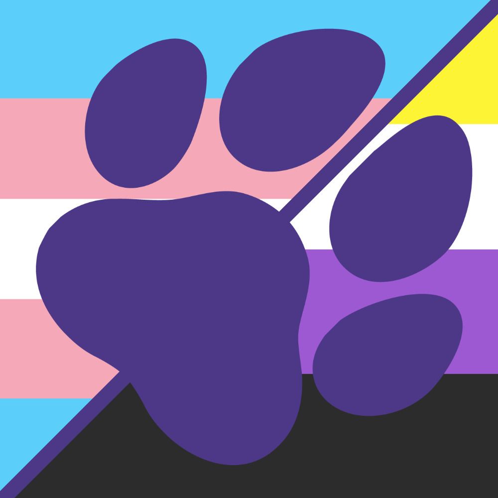 Confuzzled Trans/NB Pride