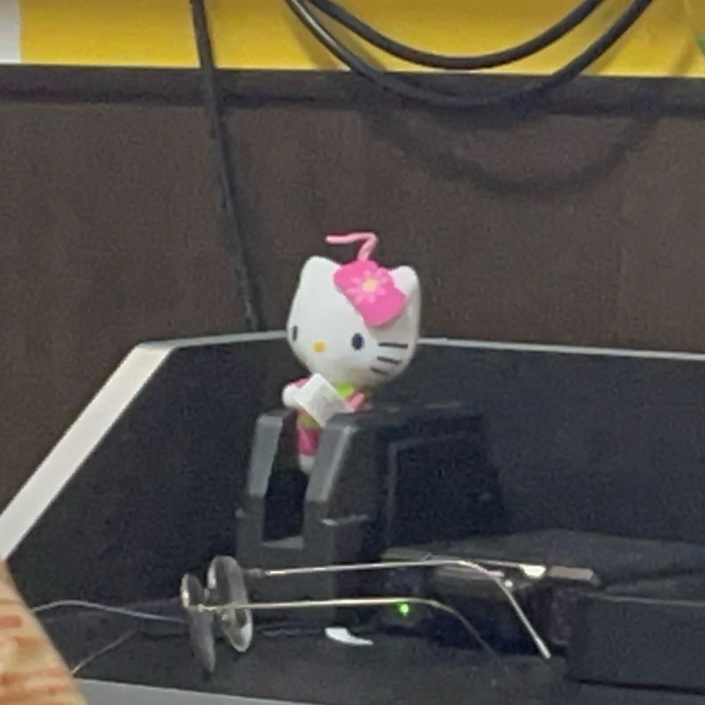 のひ