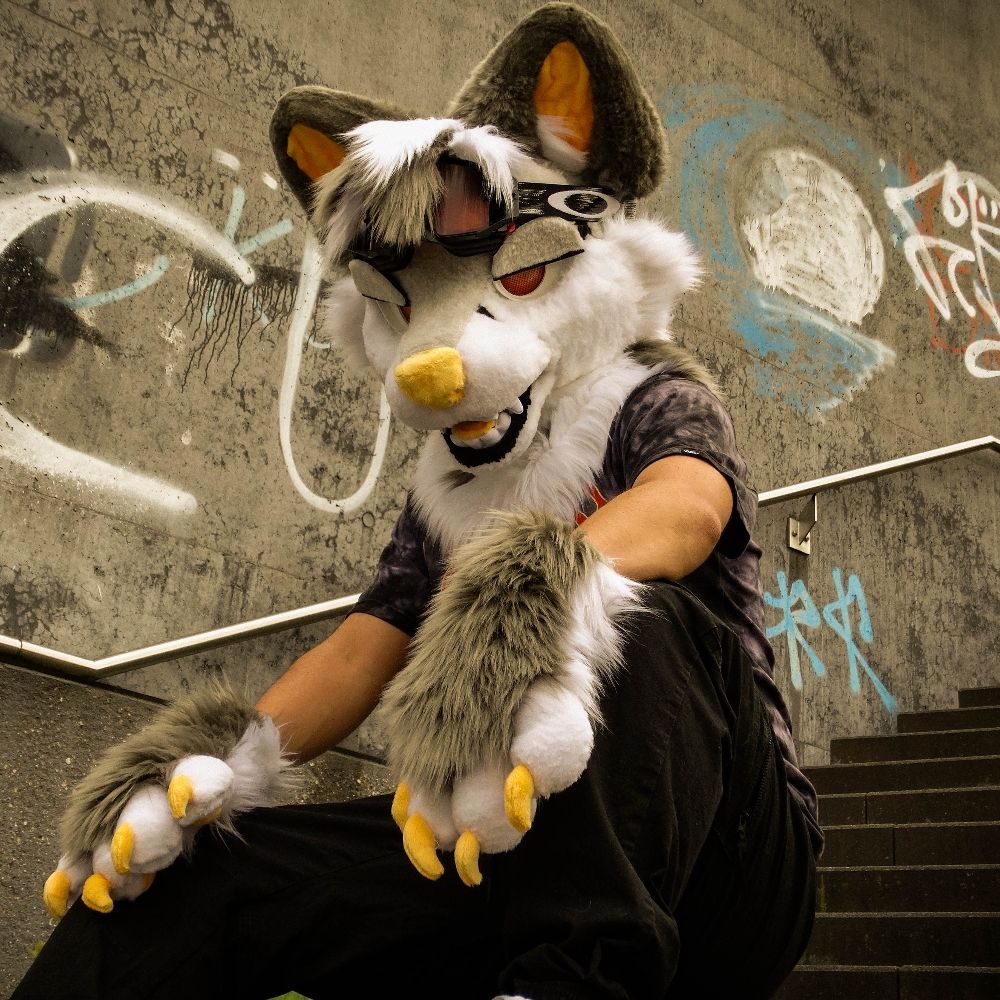 SylerWildDog 🔜 EF29