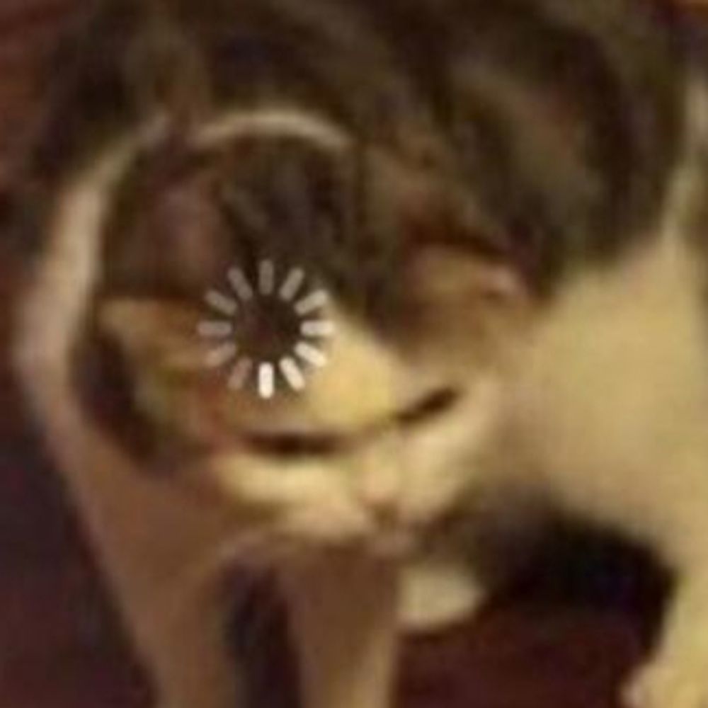 R(accoon Eyes)