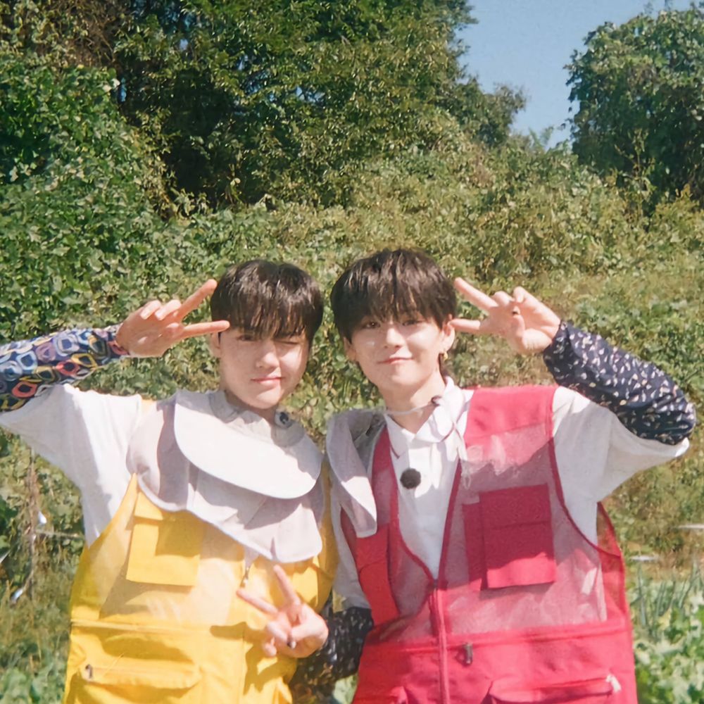 어로라✨️