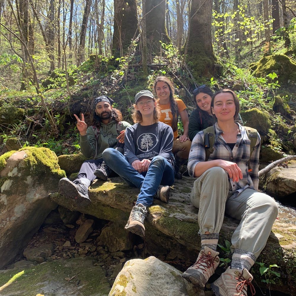 UTK Dendro Lab