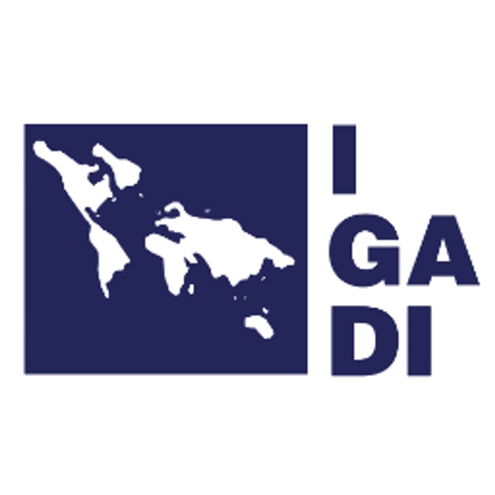 Instituto Galego de Análise e Documentación Internacional