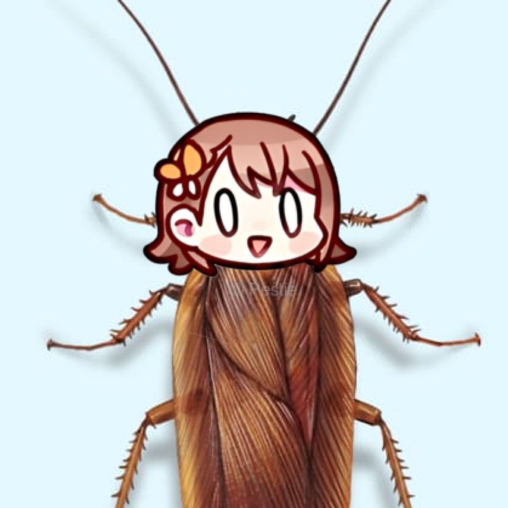 MORE MORE ROACH!