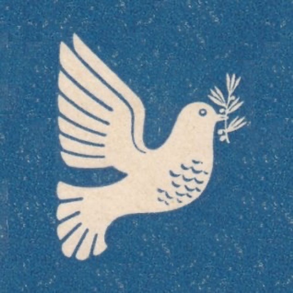 🕊️
