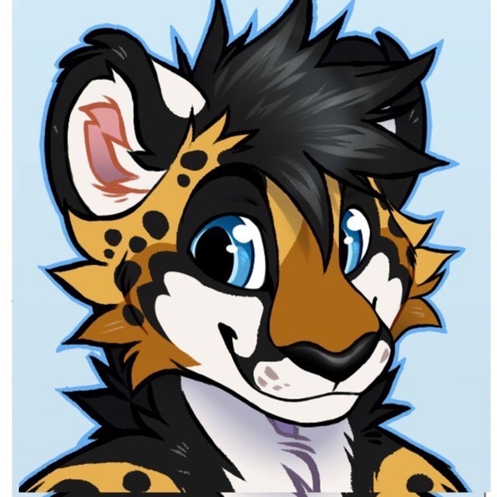 Tristan Cheetah