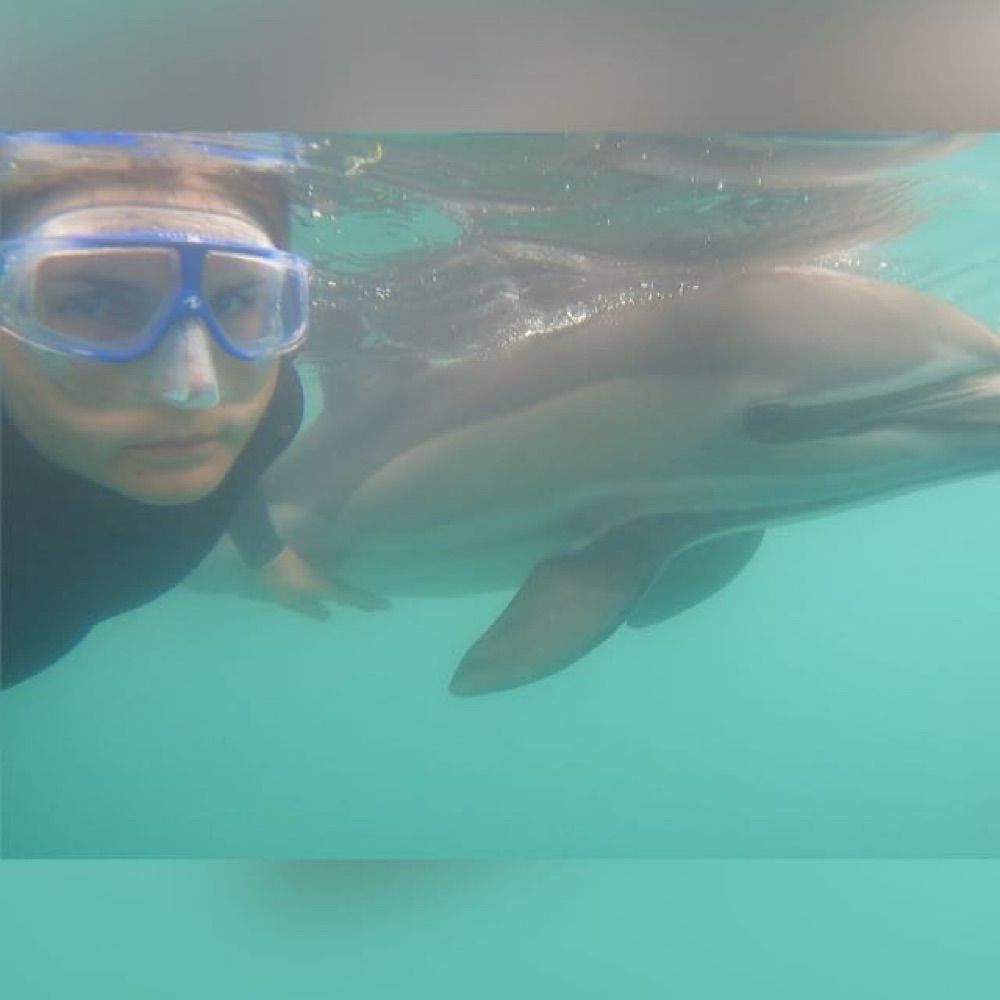 Vegan for non human animals 🐟🐬🐖🐄🐐🐓🐀🕊️🐇and 🌍