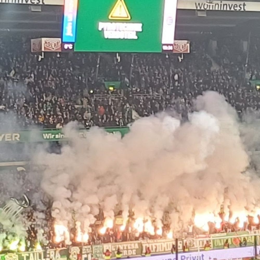 Deichmöpel
