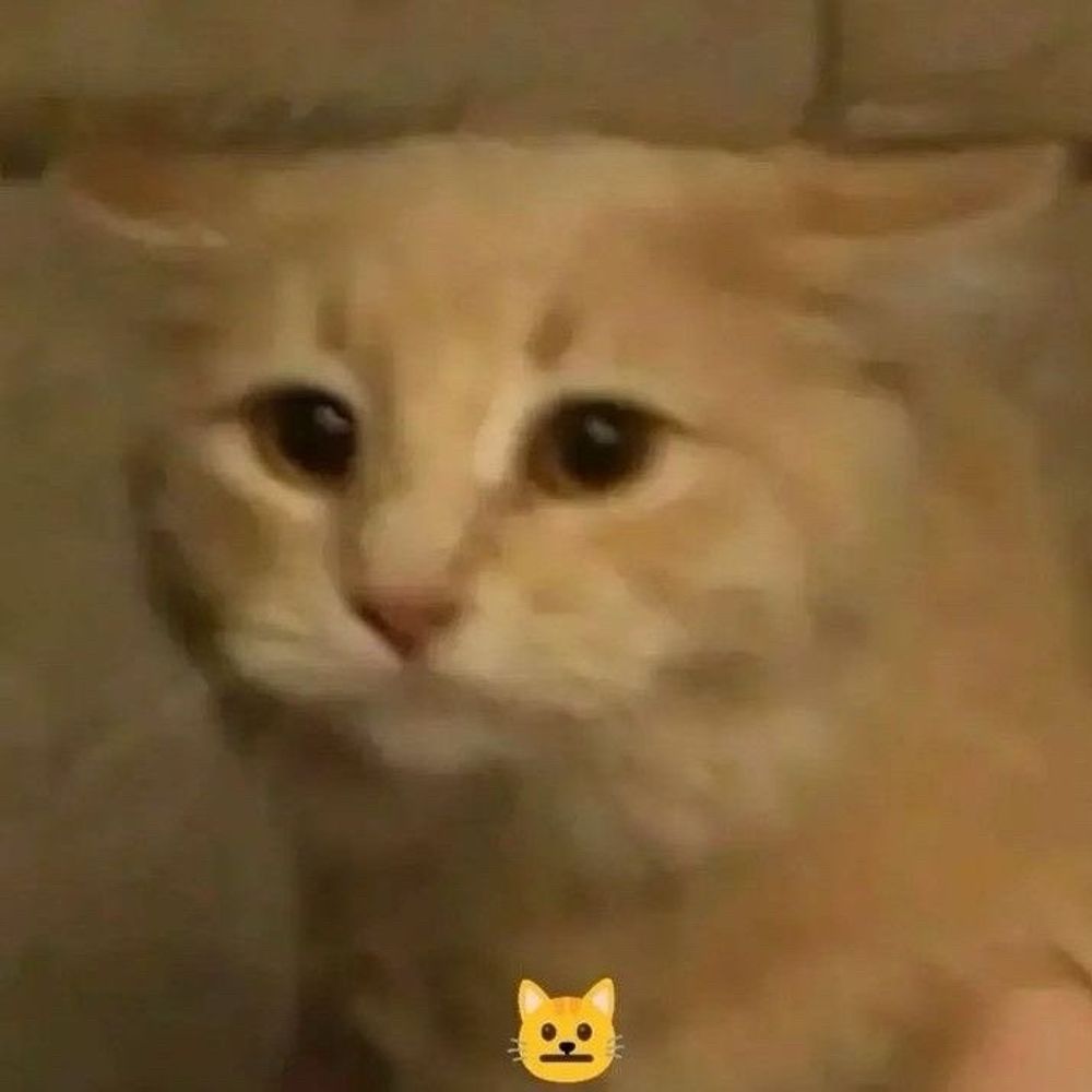 Loras