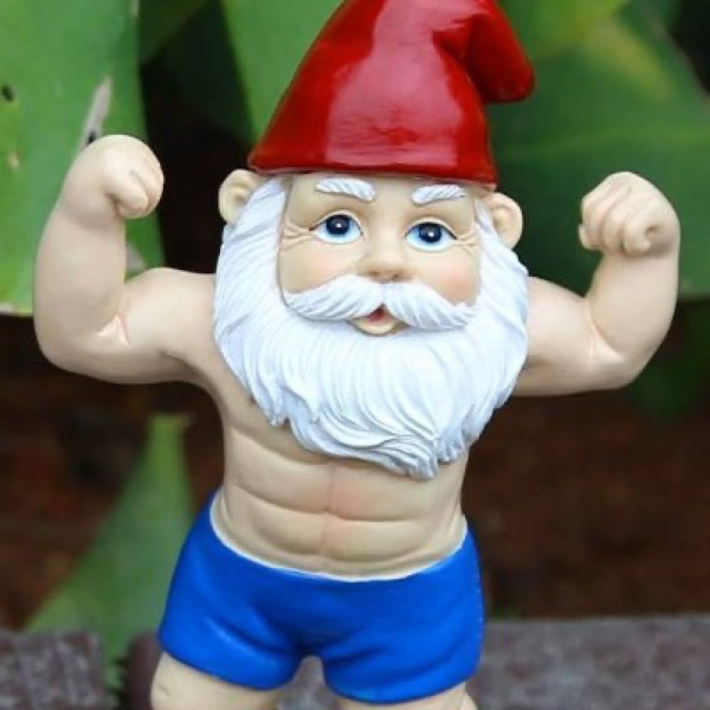 Gnome Chumpskee