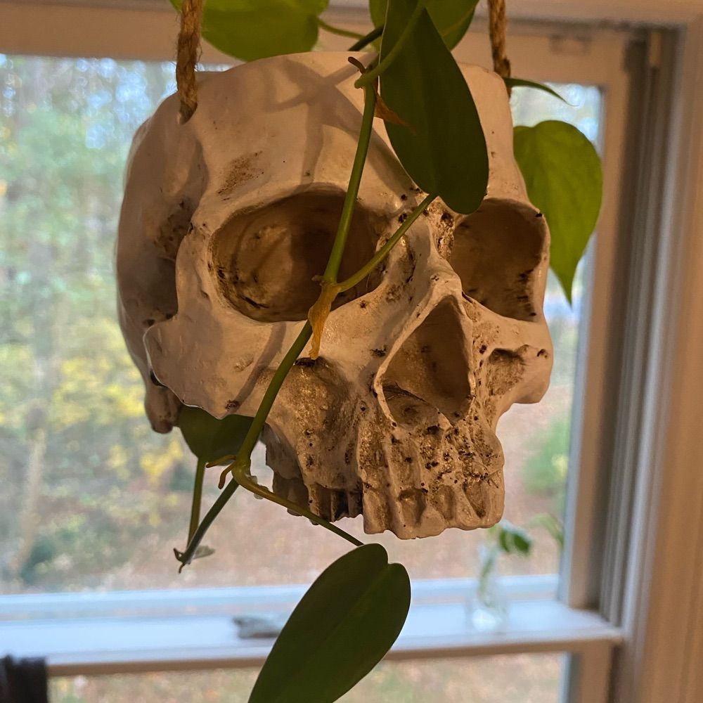 rebeljane.bsky.social