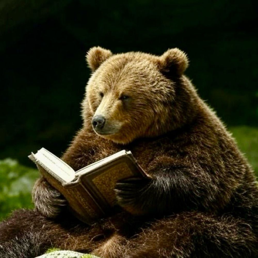 Cavebear_6th