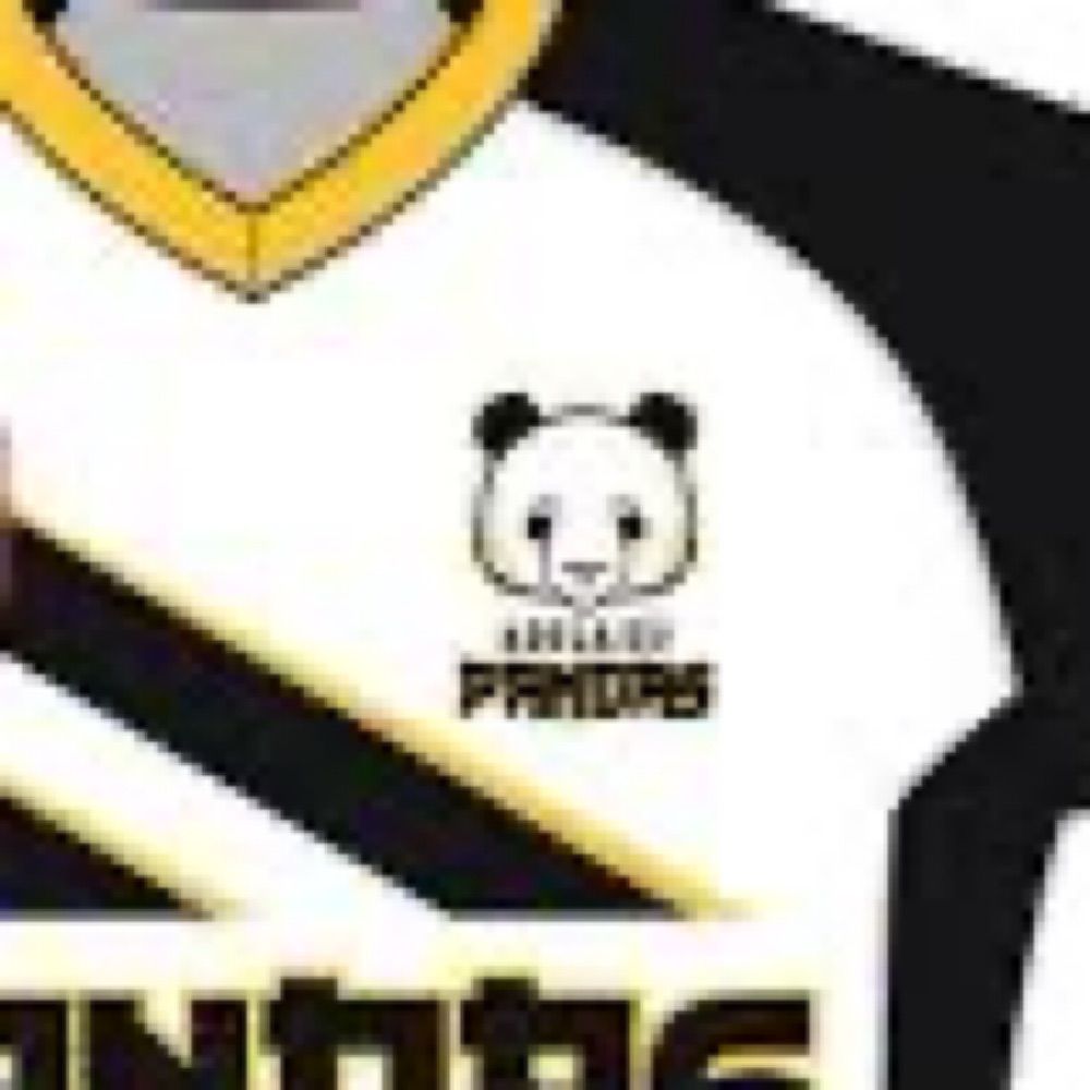 RL Ex-panda