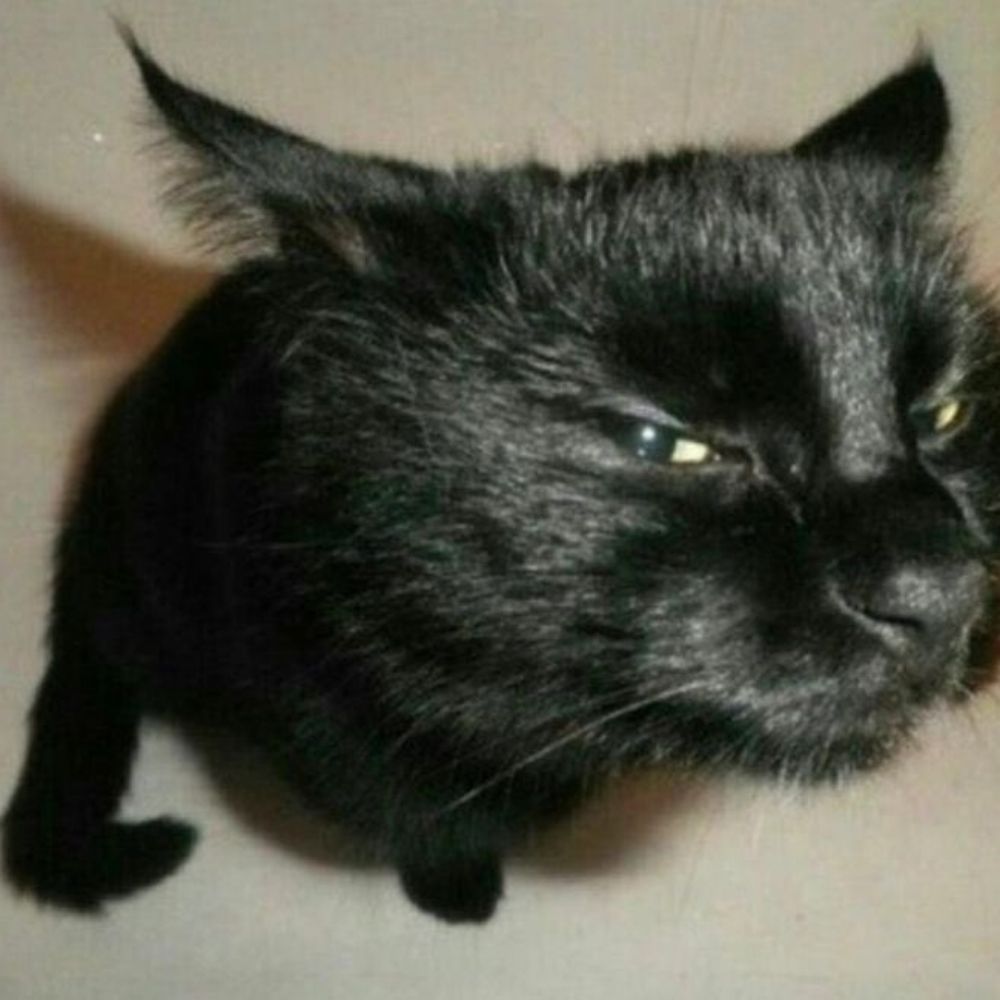 ⭒