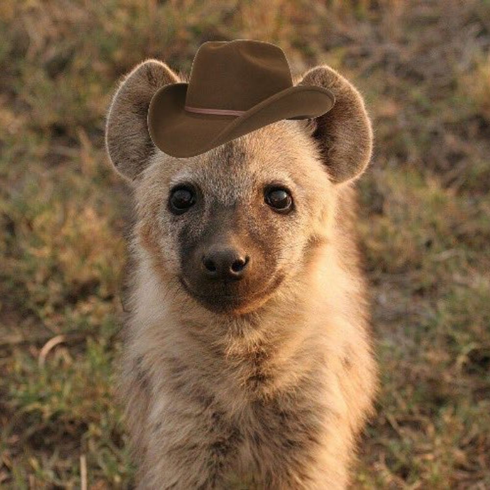 coblin_yeena