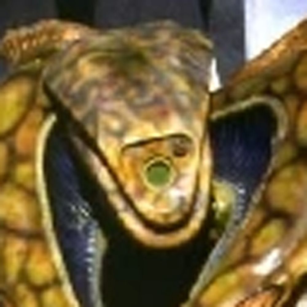 KOSH NARANEK