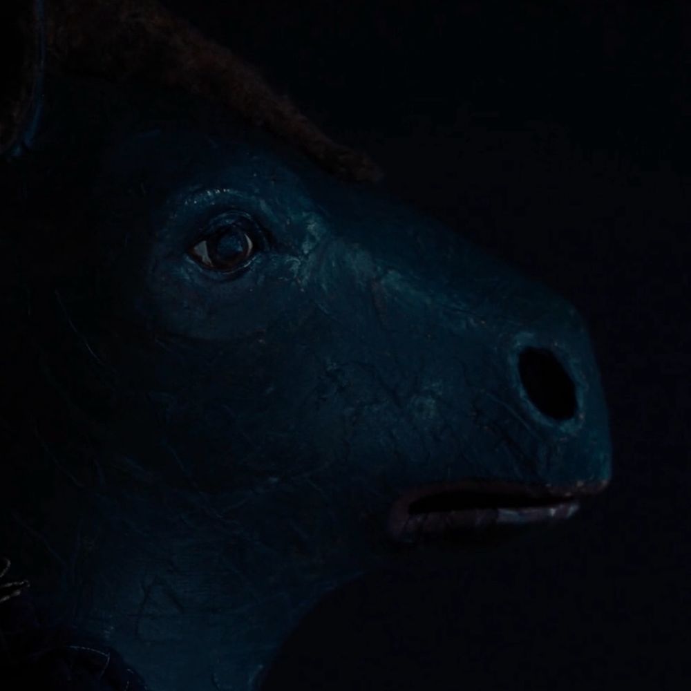 jester