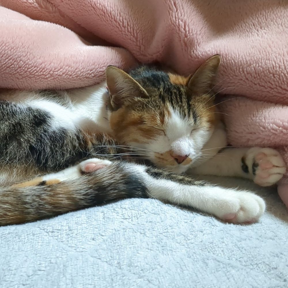 ぐりり
