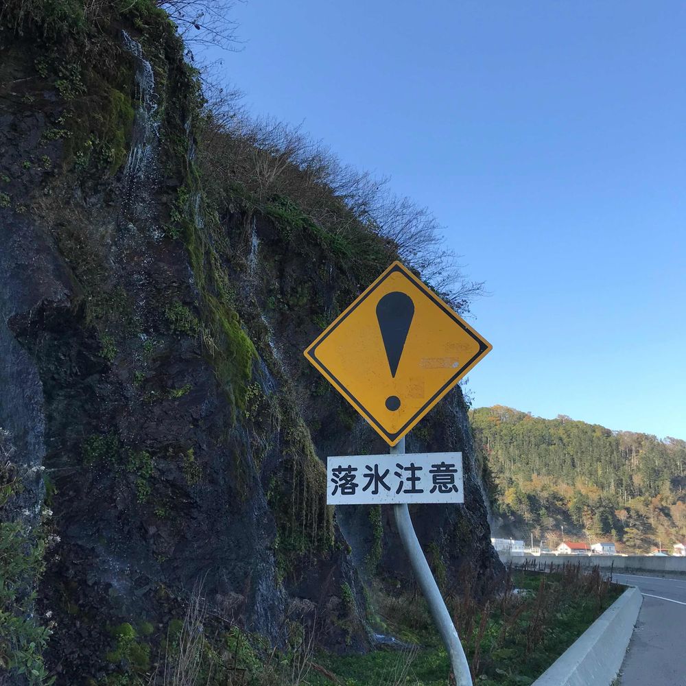 ひまわり