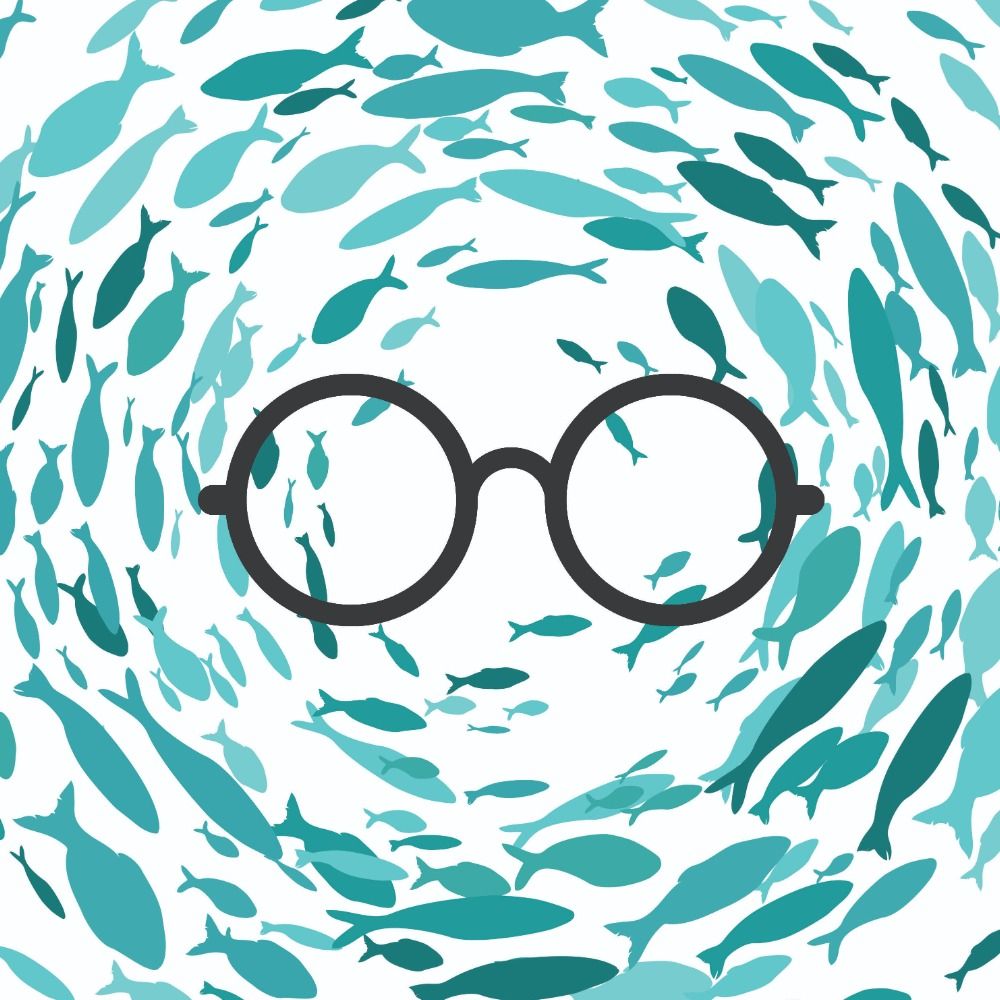 Shoal Shepherd