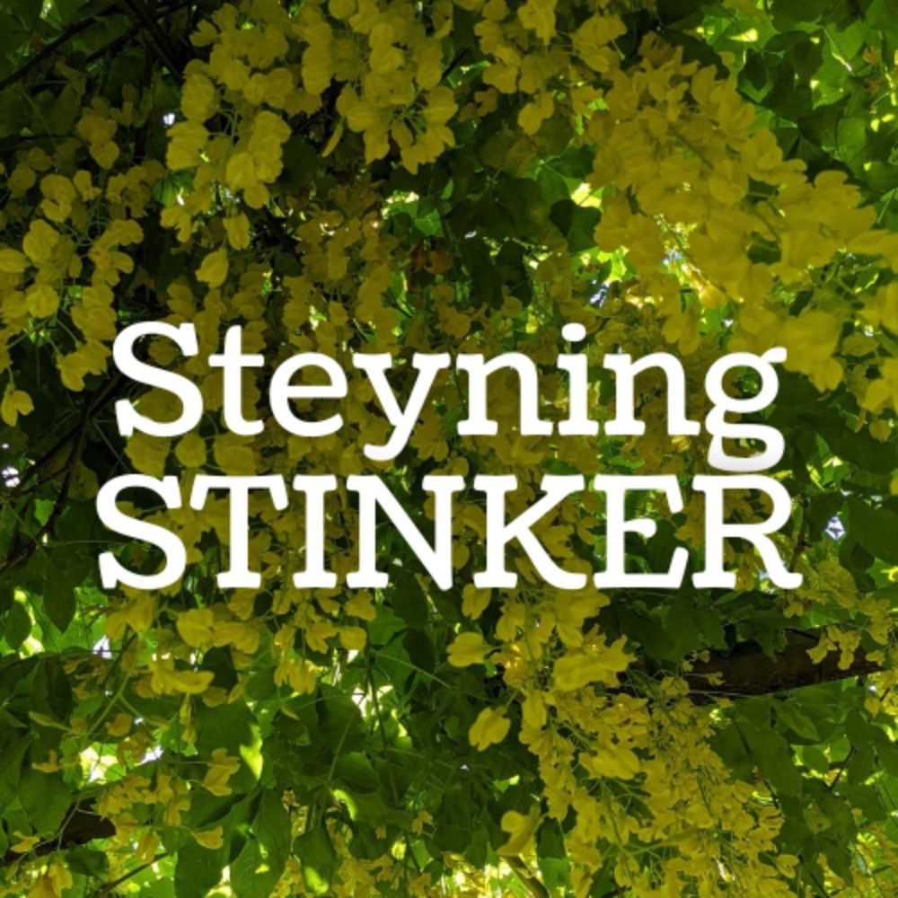 Steyning Stinker || Rivers & mnina